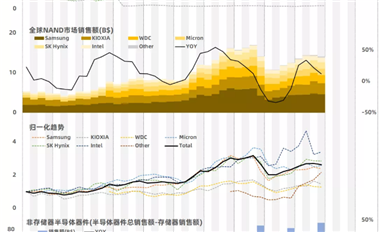 全球存儲器芯片市場銷售數(shù)據(jù)(2020Q4)