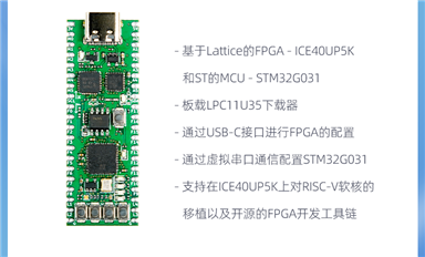 學FPGA、學MCU、學FPGA +MCU？一塊板搞定！