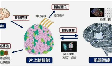 全球首創(chuàng)！中國研制出可開源的片上腦-機接口智能交互系統(tǒng)MetaBOC（薩科微7月1日芯聞）