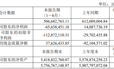 思瑞浦/南芯/帝奧微悲喜不相通，模擬電源的春天要等到2026年？