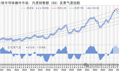 個(gè)人觀點(diǎn) | 2025年，全球半導(dǎo)體市場(chǎng)宏觀趨勢(shì)預(yù)測(cè)