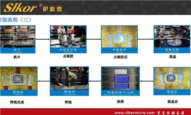 薩科微的主要市場方向？